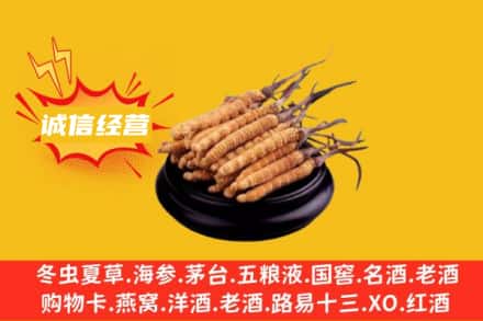 河池天峨县回收冬虫夏草